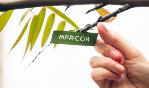 Экологическая устойчивость: стратегии для общества